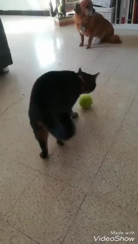 Legs.exe has stopped responding