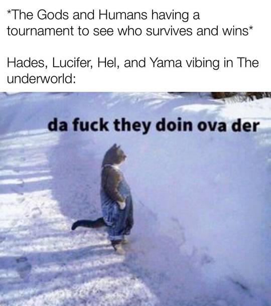 Lets goo first meme on here.