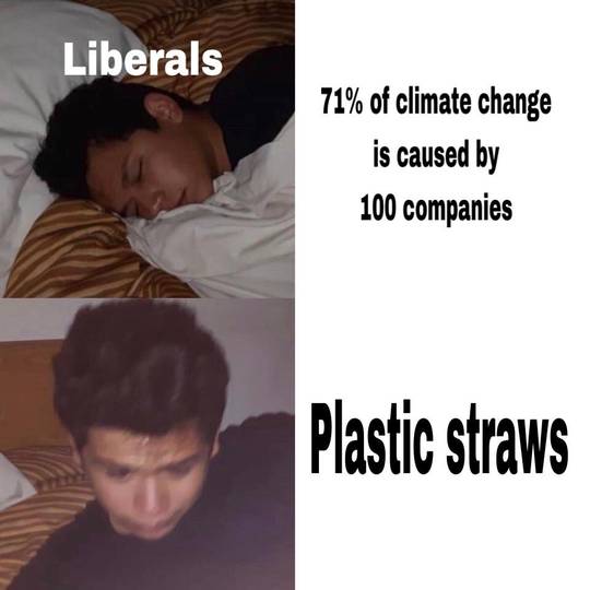 Liberals on climate change