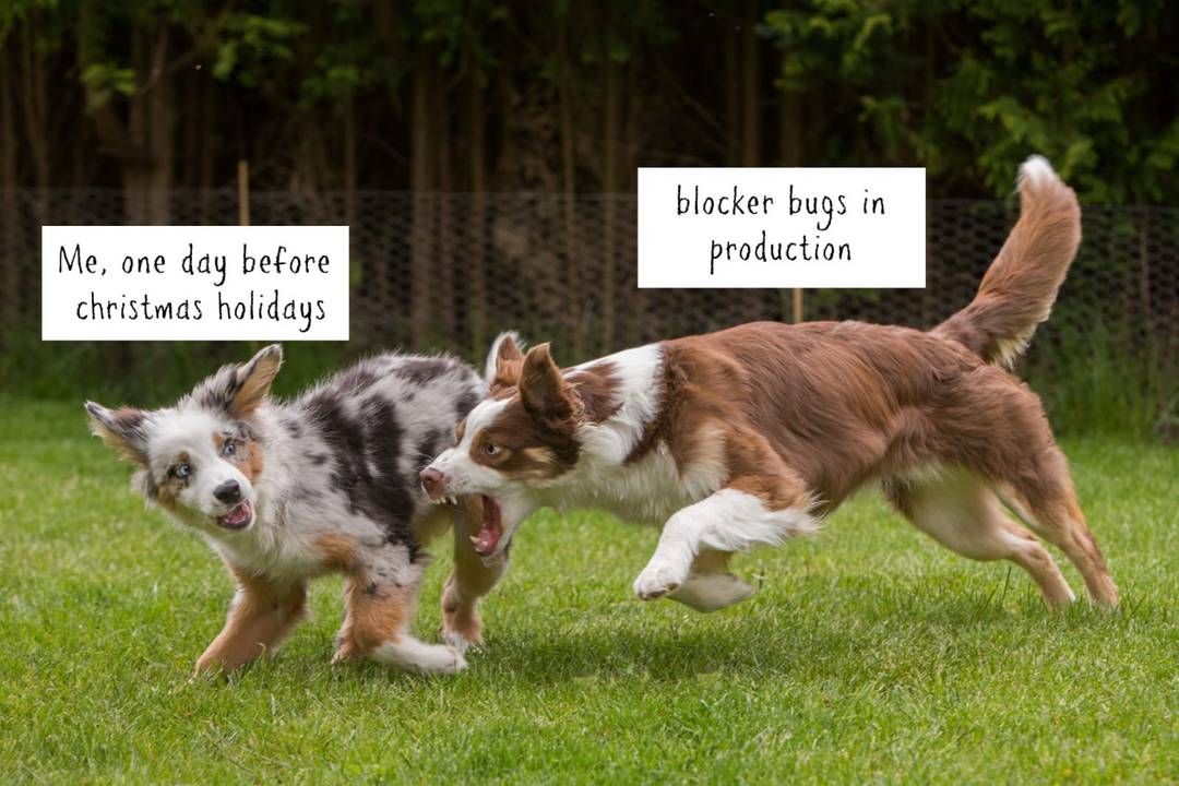 Life as a software developer / tester