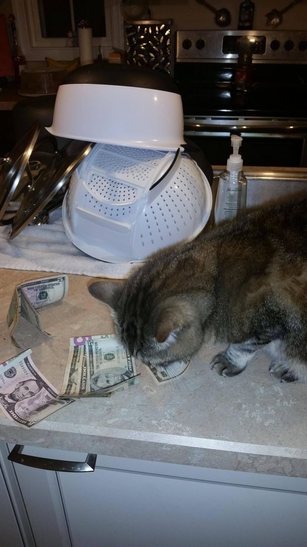 Lil C's aka Cecil Cooper