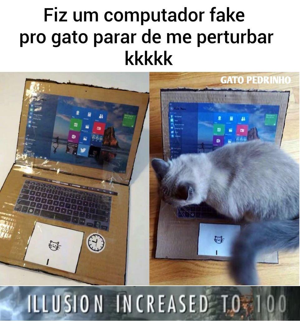 made a fake pc to the cat to stop pestering me