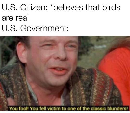 Look at all those “chickens”