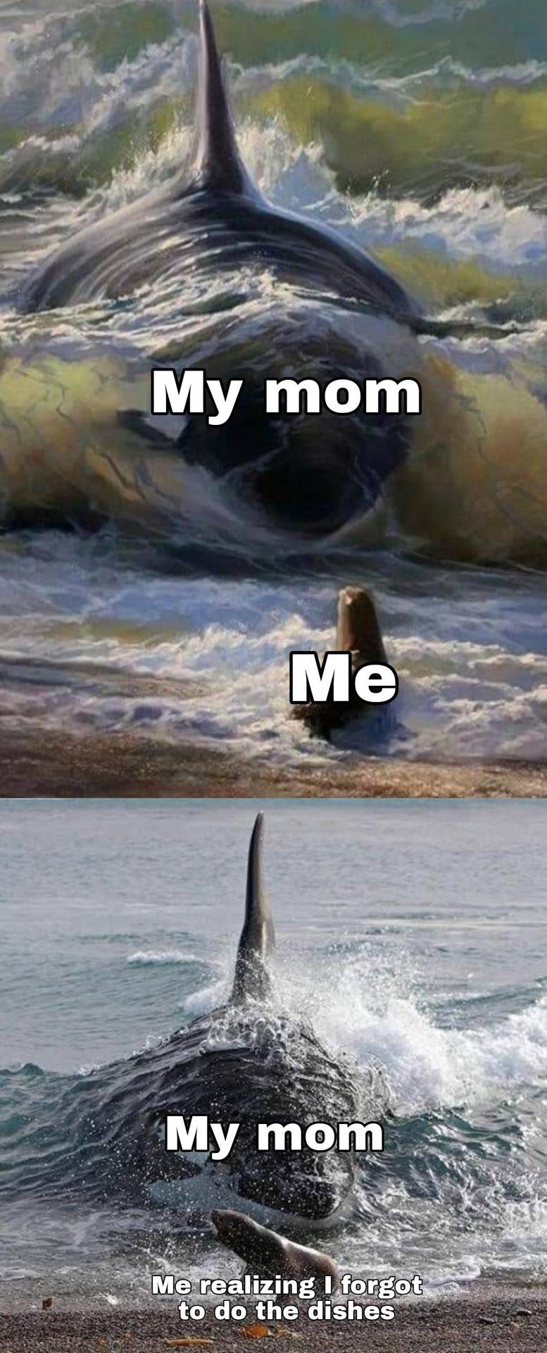 Look ma I made a meme