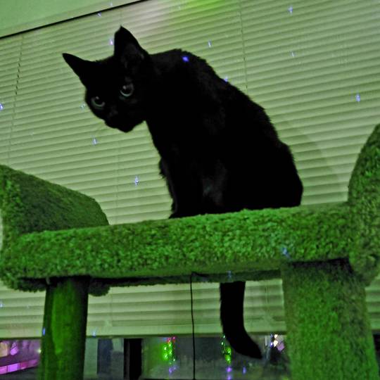 Looking into the void. Or, she's looking at the lights.