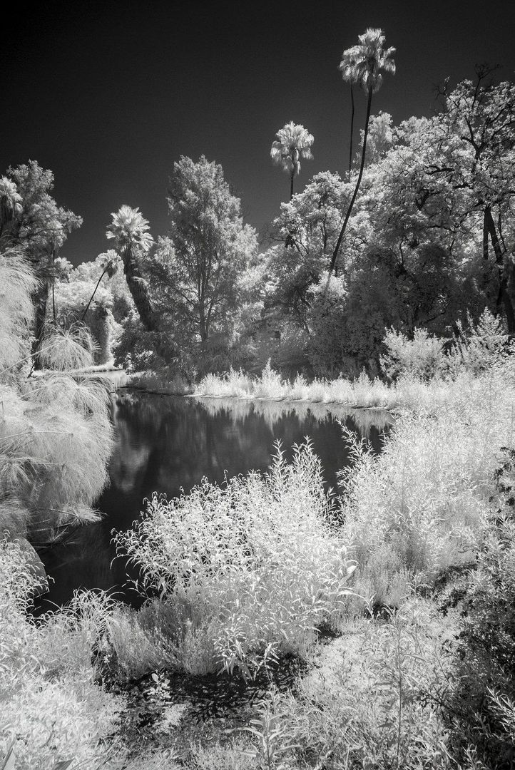 Los Angeles County Arboretum