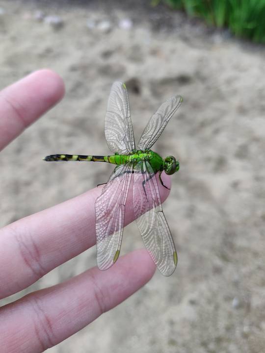 Made A Friend Today