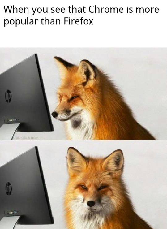 Made a lil foxo meme