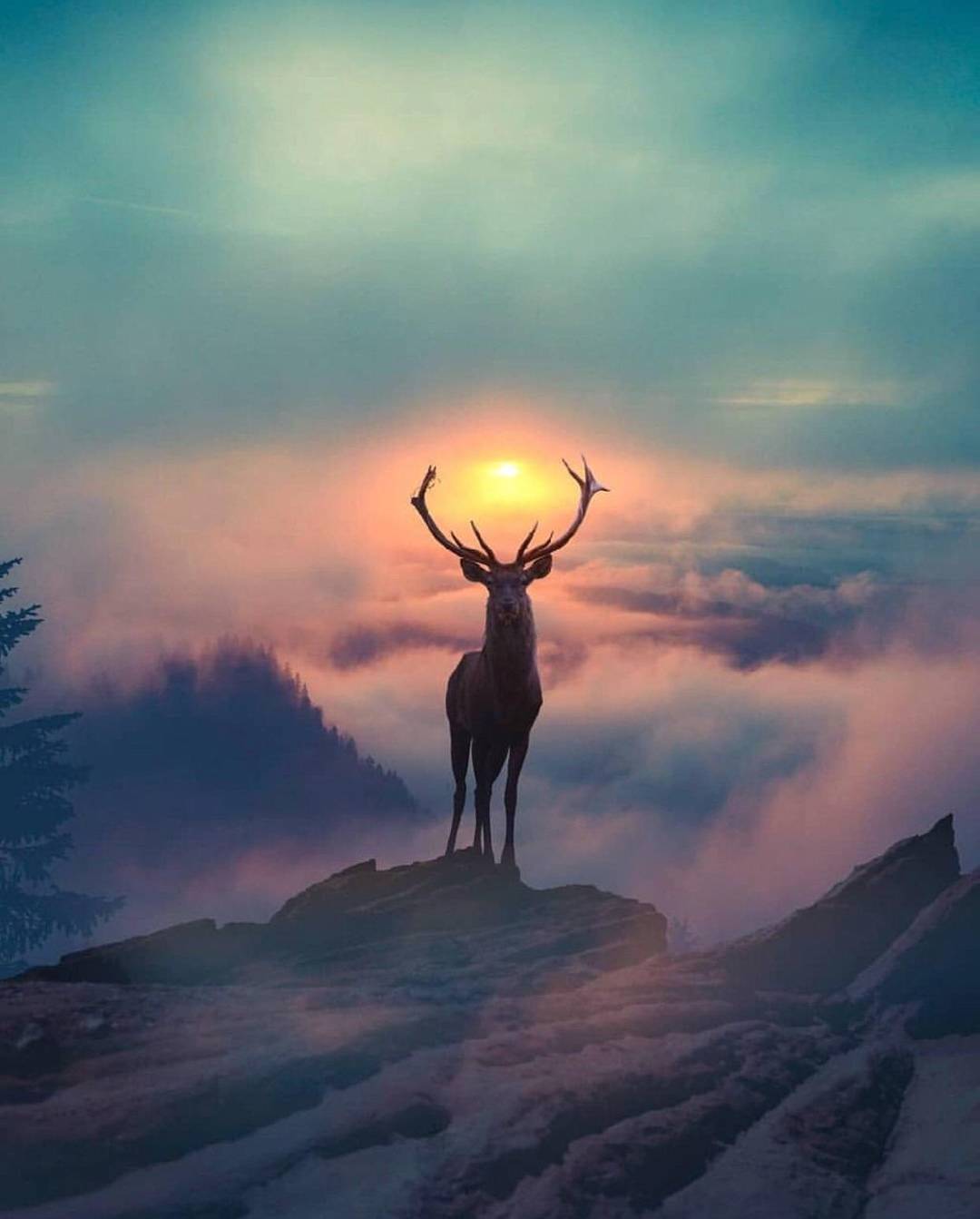 Majestic