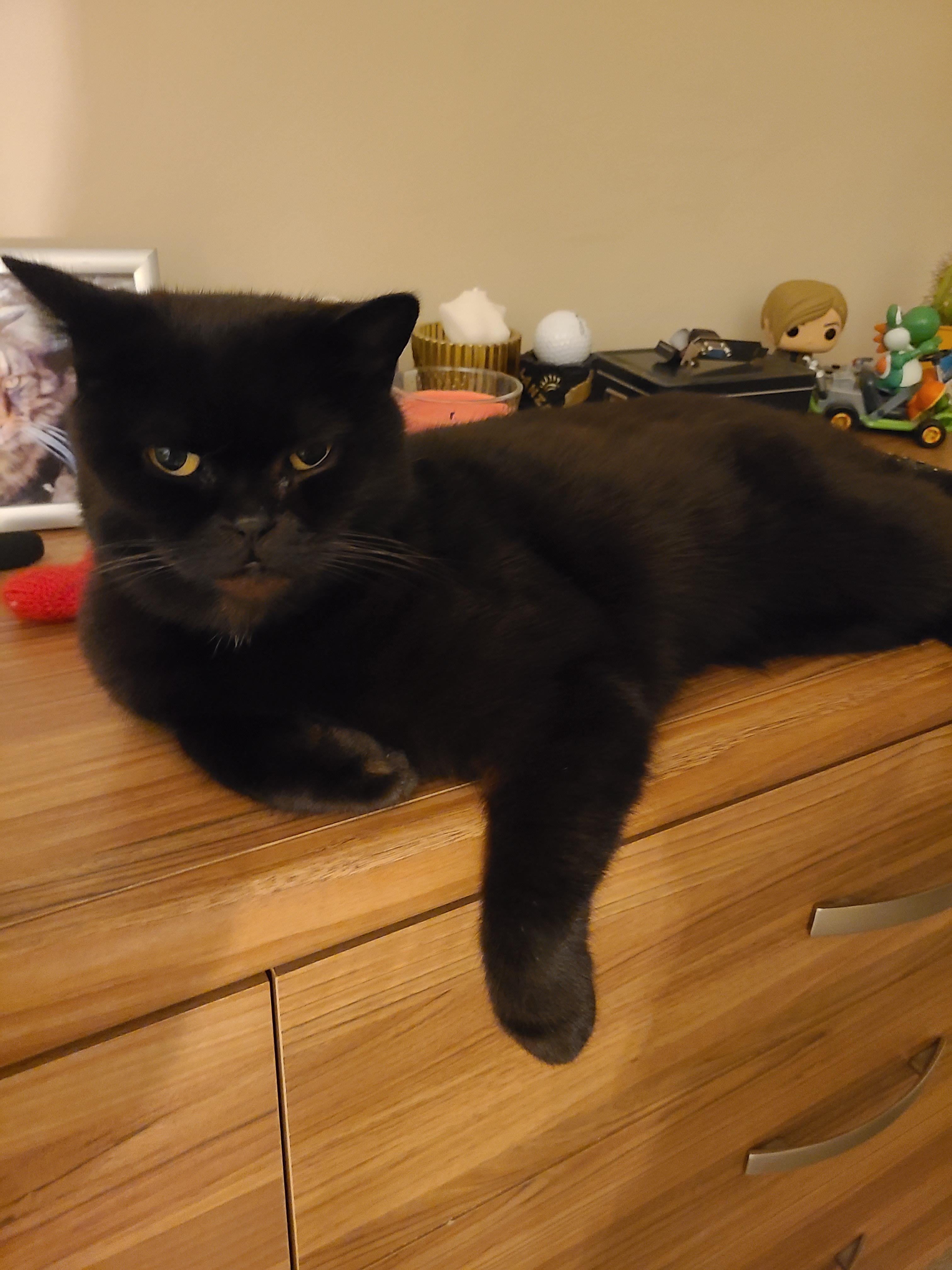 Make yourself comfortable...