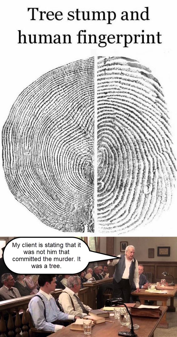 Makes sense