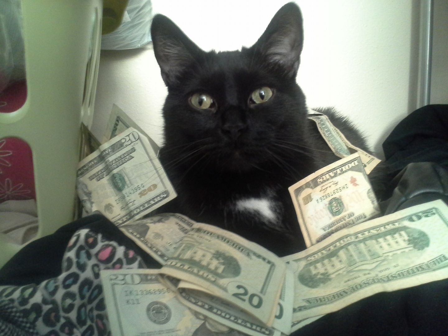 Makin' dat cash money yo