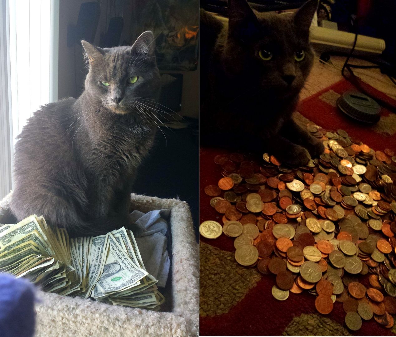 Makin' it rain, makin' it hail.