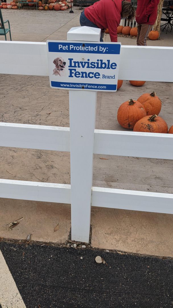 Man look how invisible this is