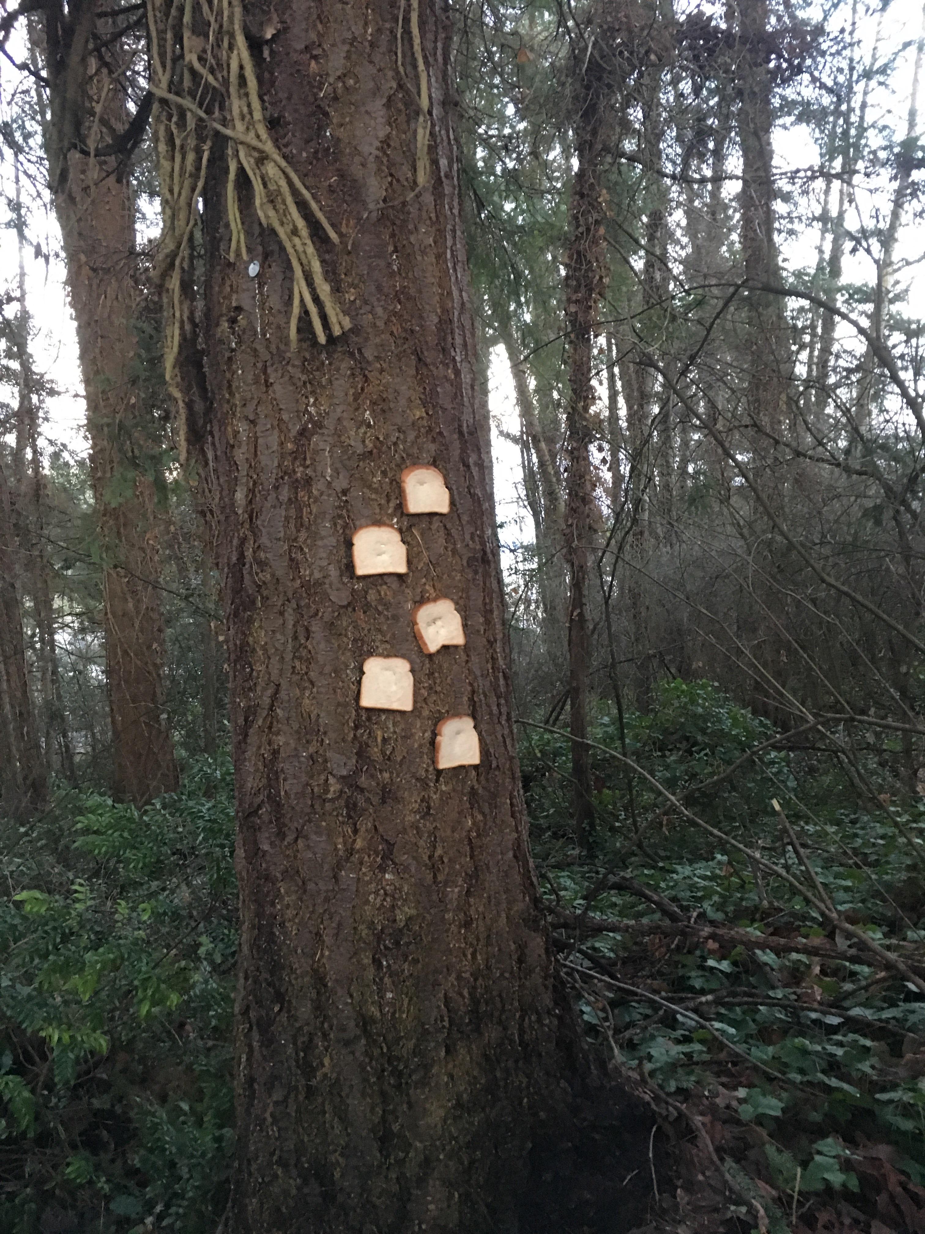 Me And Four Friends Scrolller