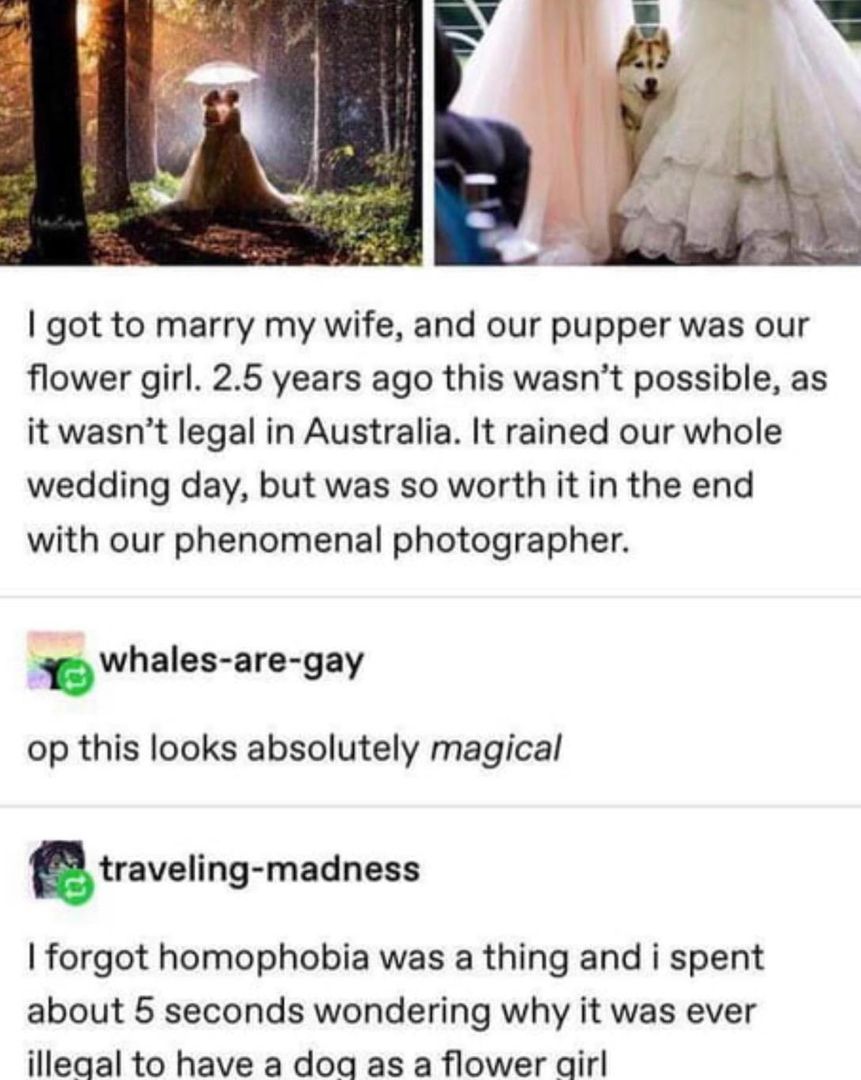 me irl