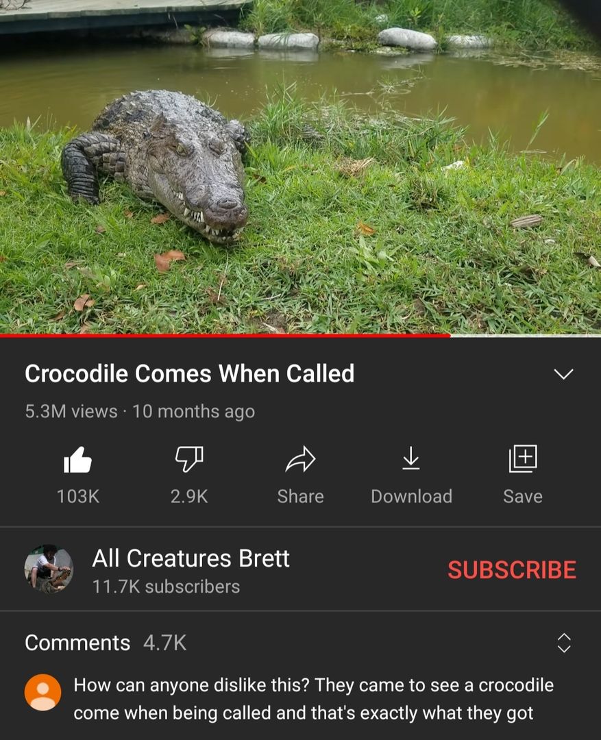 Me_irl