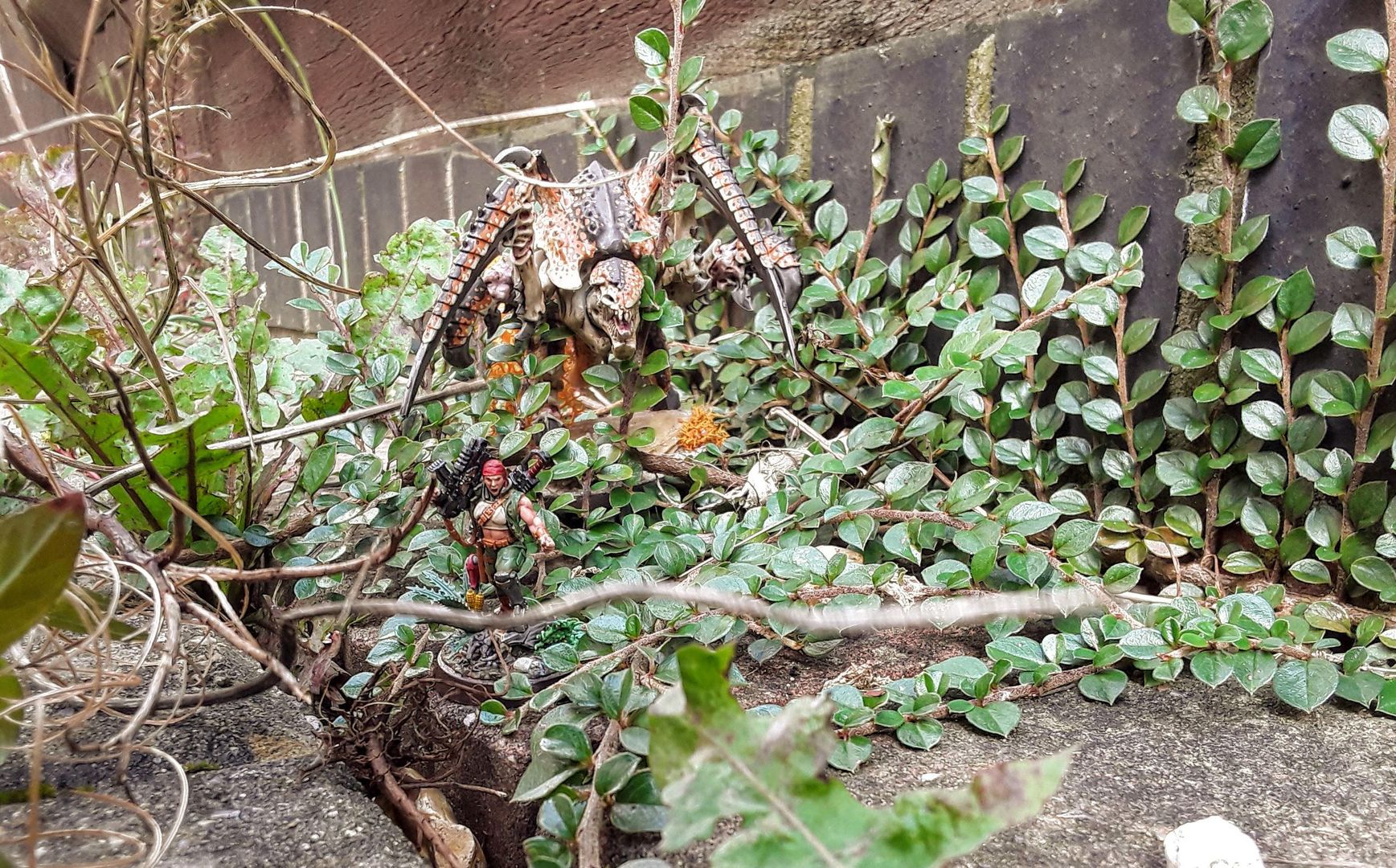 Meanwhile on Catachan... (Thank you catgutt for the coconut 'nids ❤)