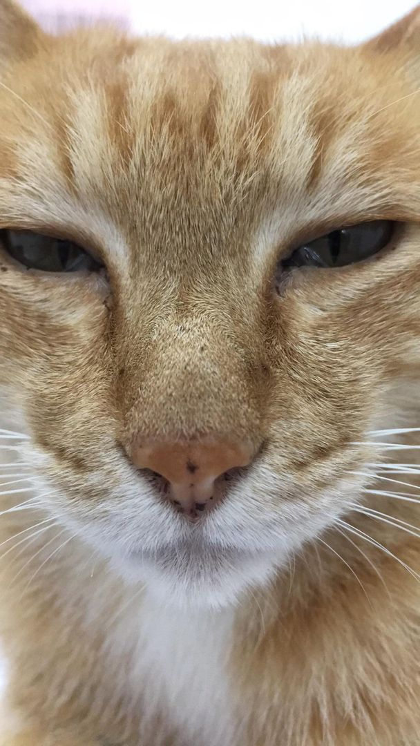Meet Freddie, my colleague and one of my best friends. We’re new to this sub.