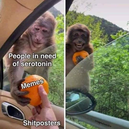 Meme lovers