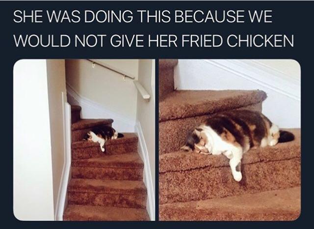 Fried Chicken