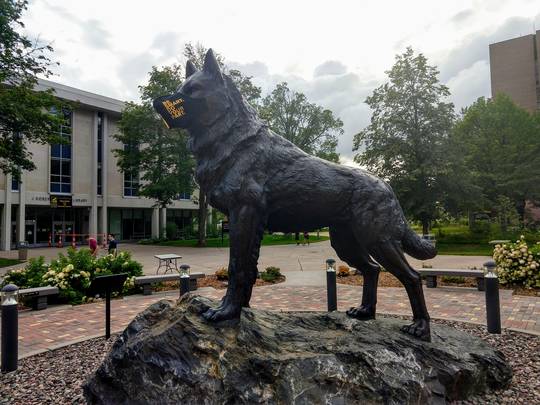 Michigan Tech's husky has a new addition this year