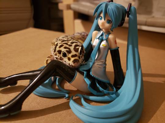 Miku hanging out with her pet dragon 🙂