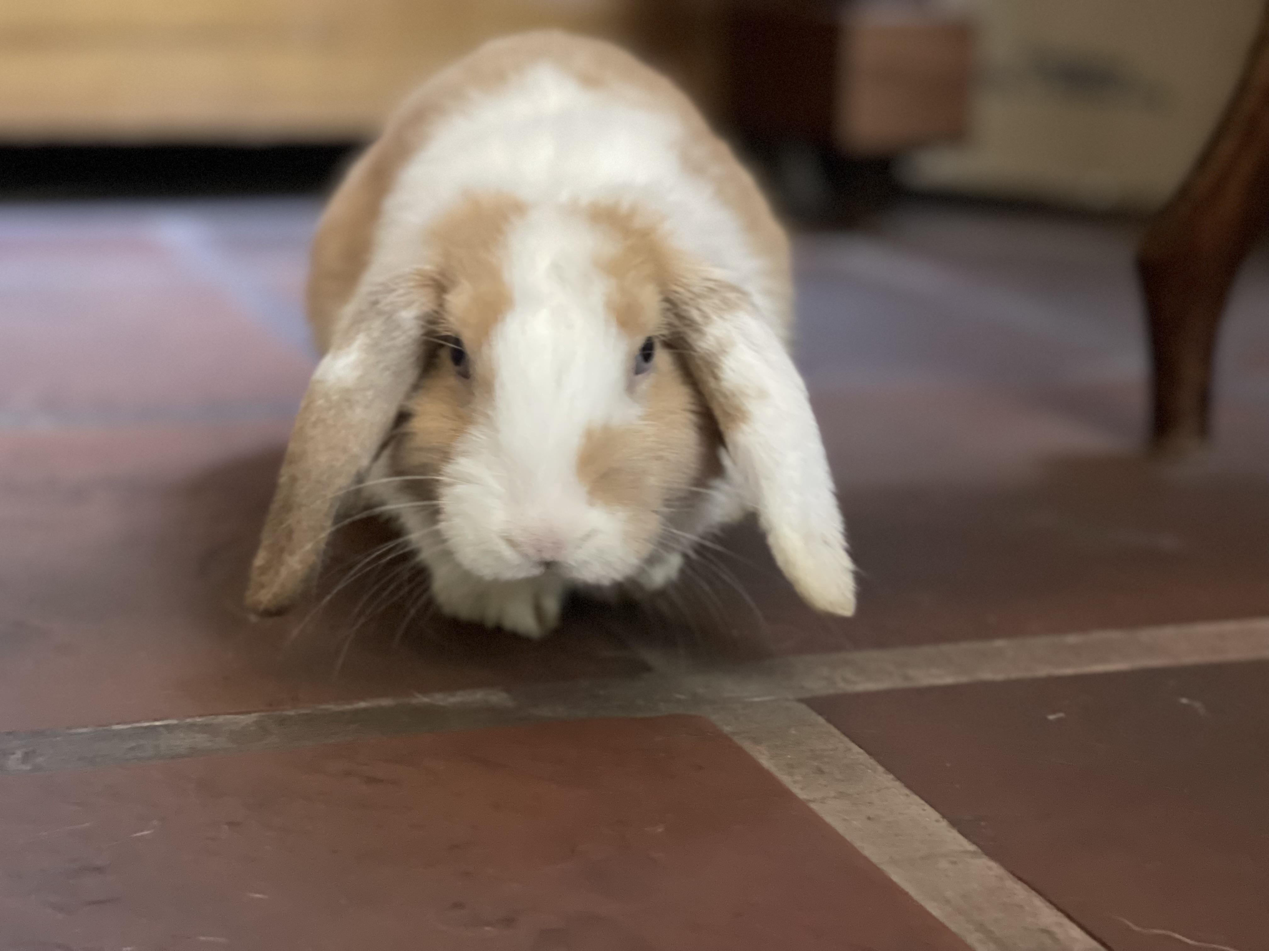 Mischief is my middle name!