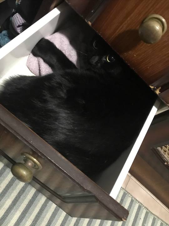 "Mom! I told you to stay out of my room!"