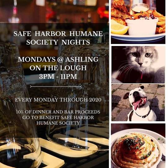 Mondays are Safe Harbor Humane Society Nights at Ashling on the Lough!