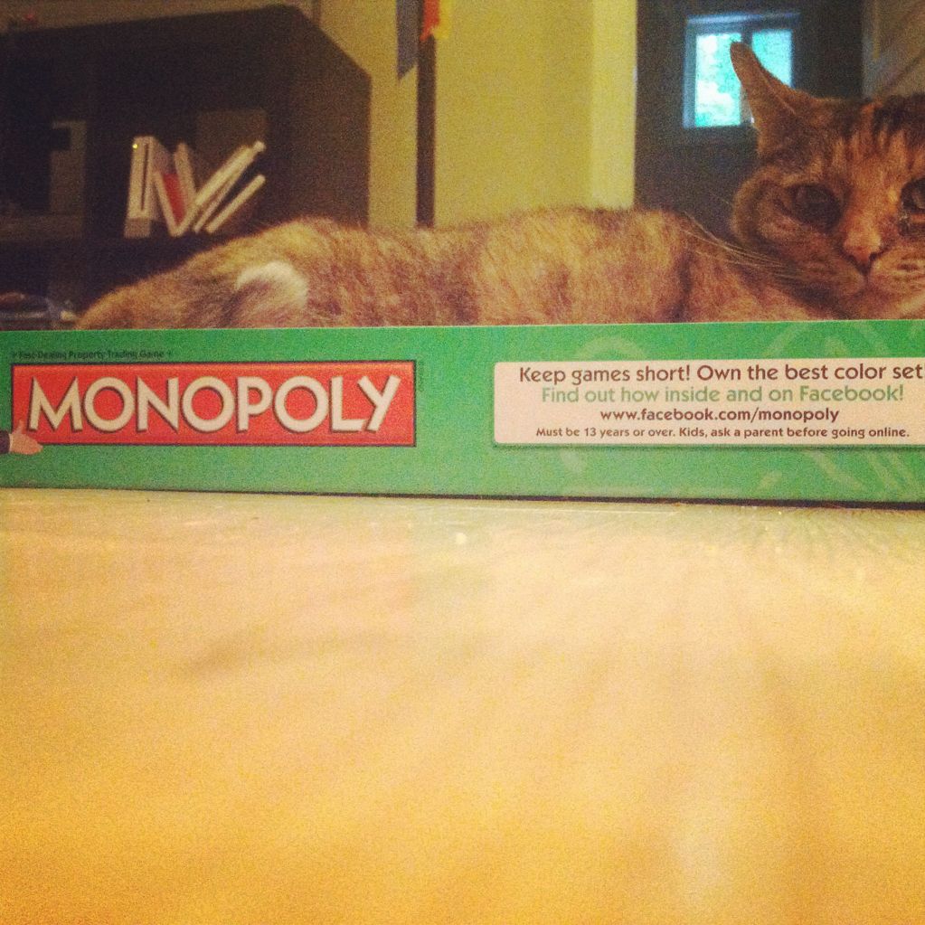 Monopoly pimp cat