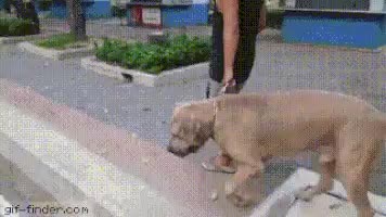 Hey, A snack!