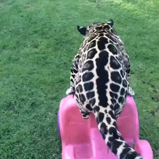 Move over it's my turn.