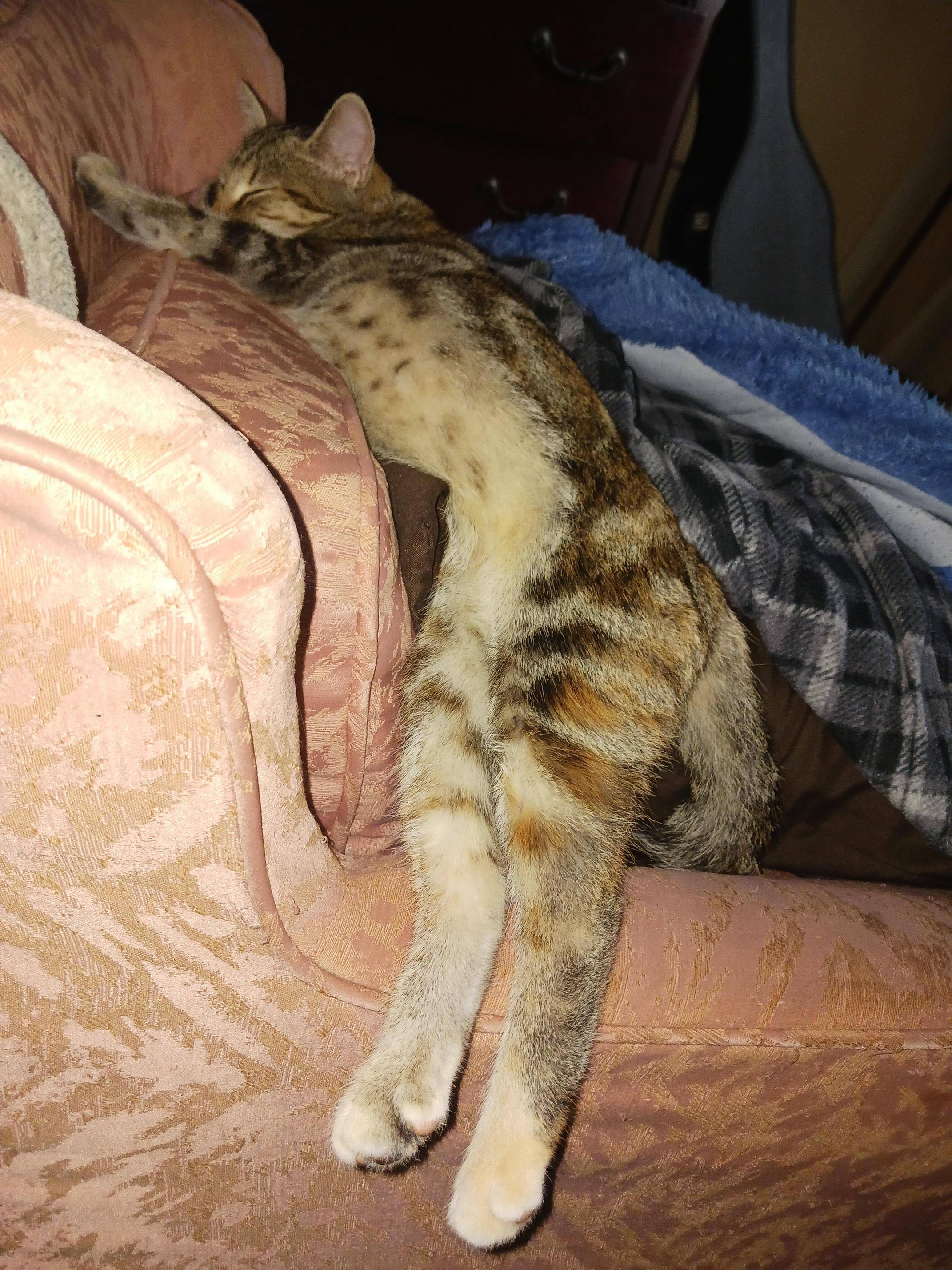 Moxxi melting on a chair