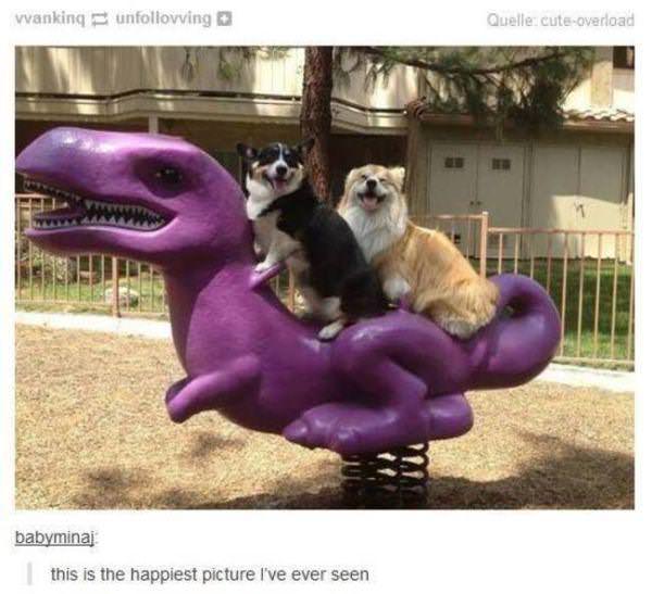 Much happiness *bork bork*