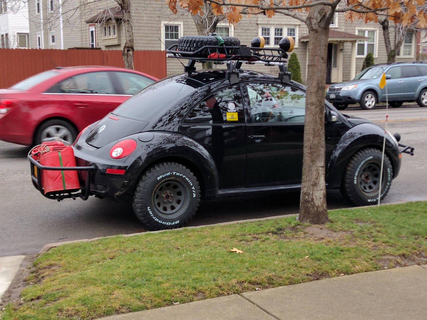 'Mud Bug' Spotted in the Wild
