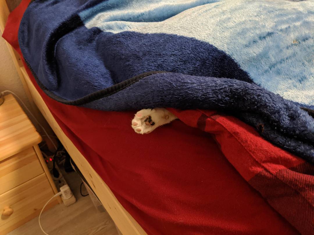 My baby girl likes to keep one paw sticking out.