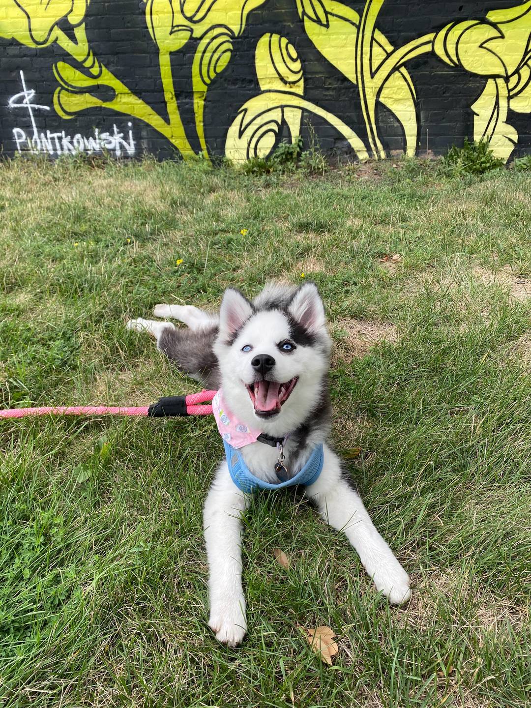 My baby Maya!