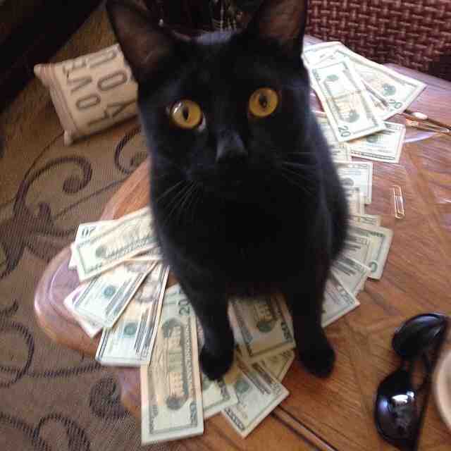 My coworker at the strip club posted this on FB.
