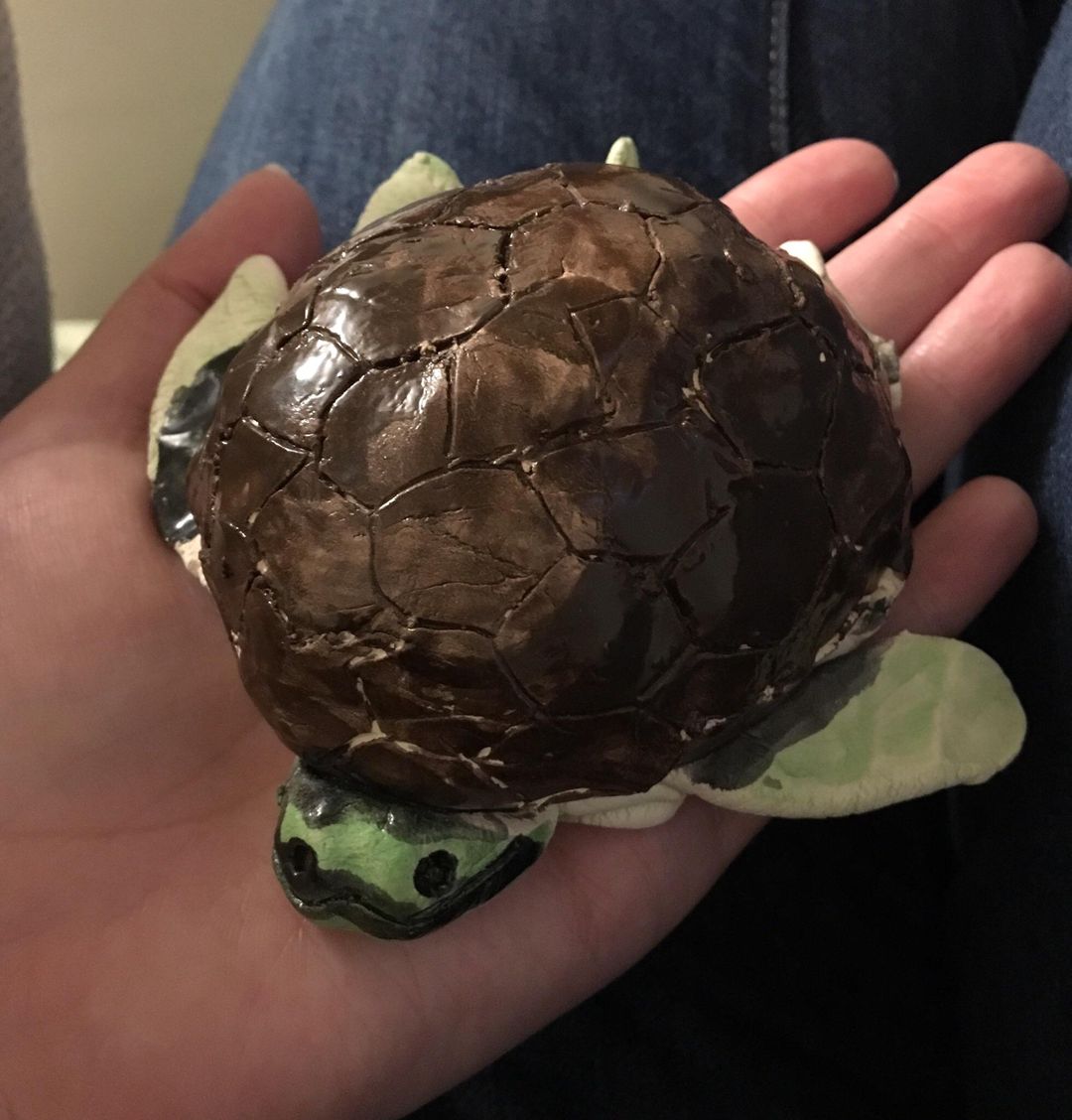 My daughter made me a turtle in pottery for Mother’s Day! | Scrolller