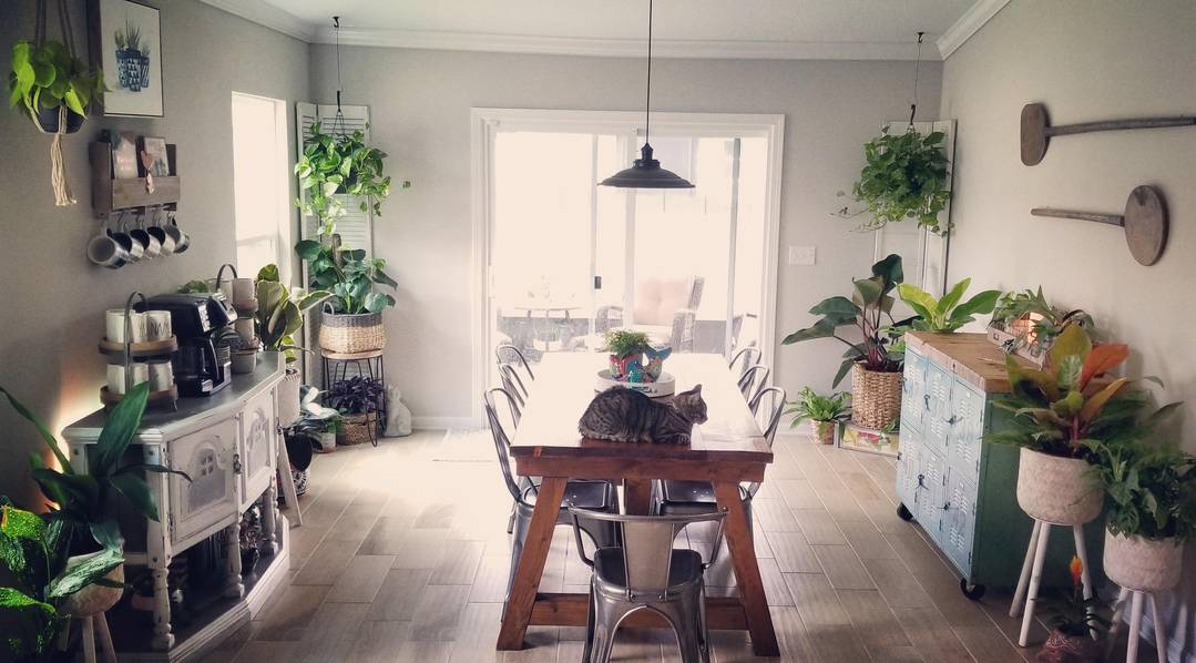 My dining room in Florida
