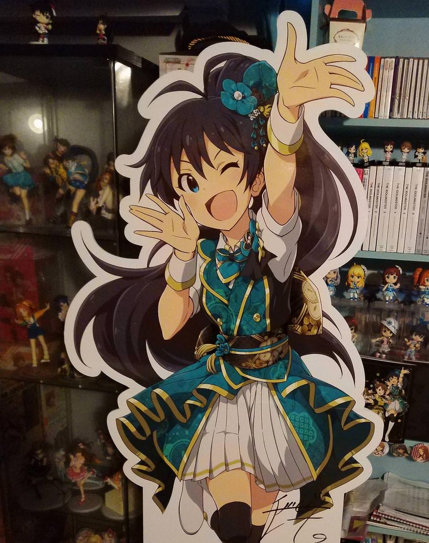 My display stand for the best idol has arrived