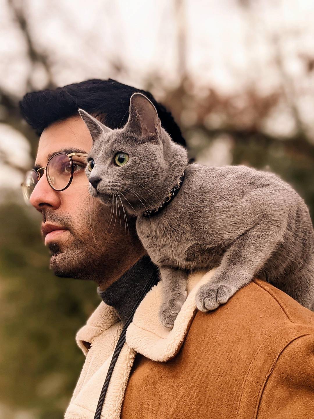 My dreams of having a shoulder cat have come true.