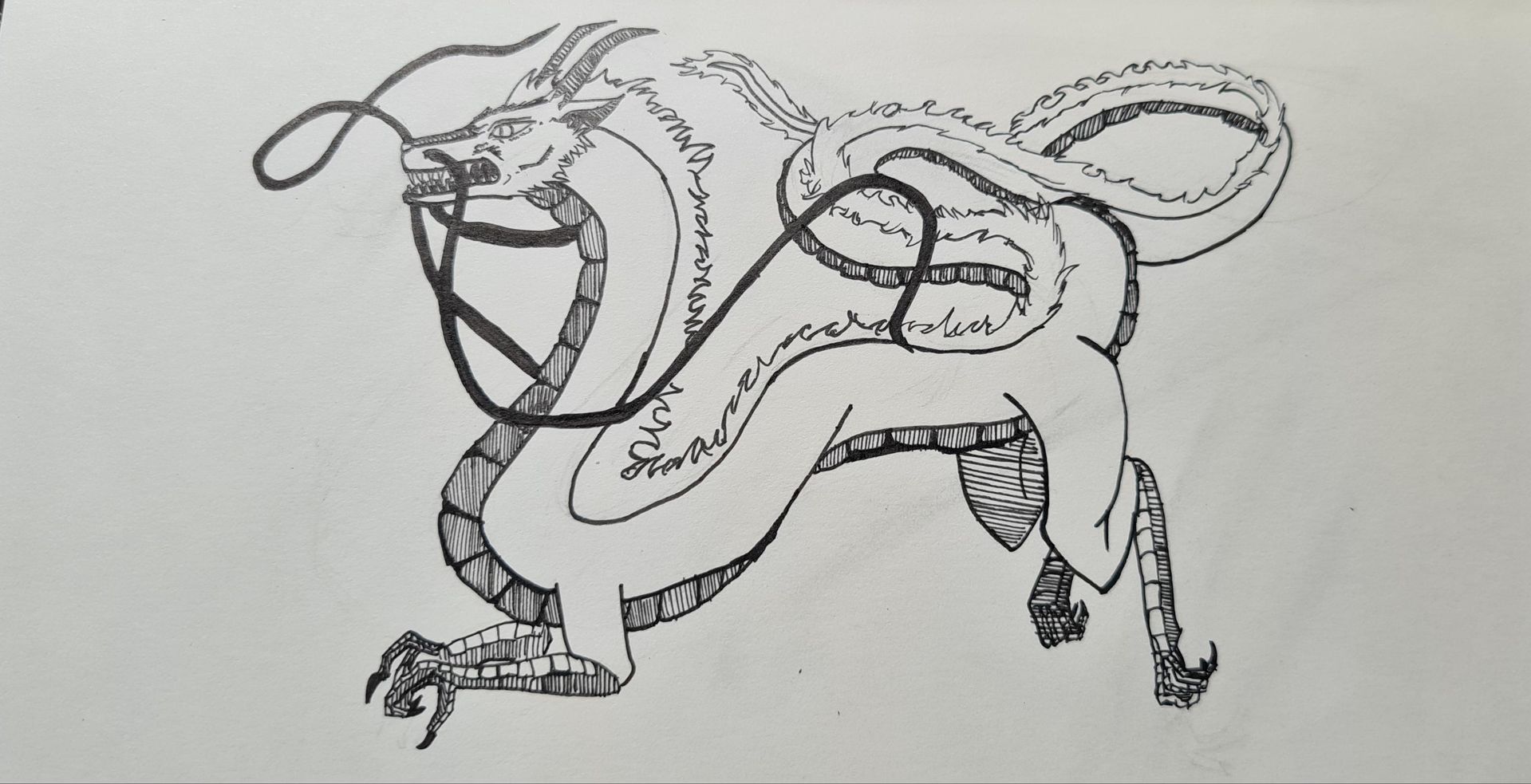 My fanart of Haku. Any criticism is welcome