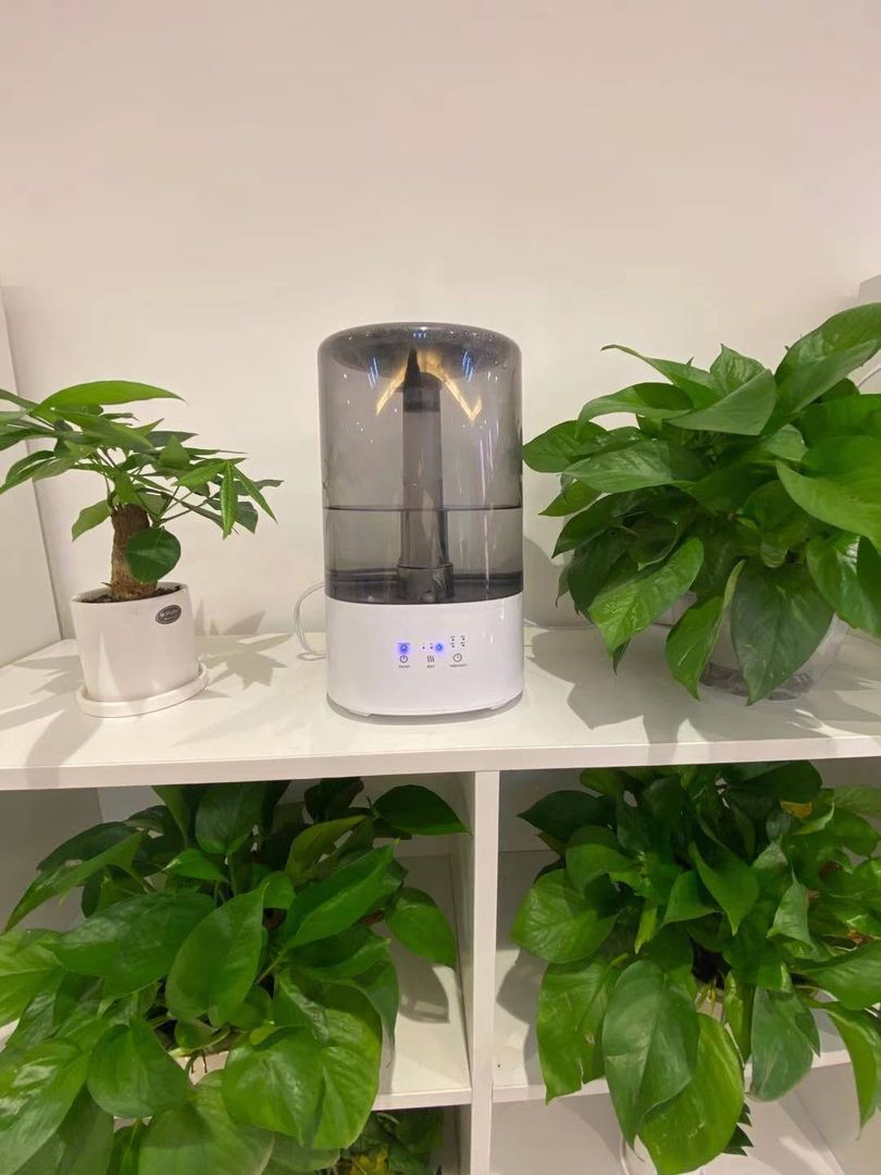 My Favorite plant shelf, newly added humidifier for them