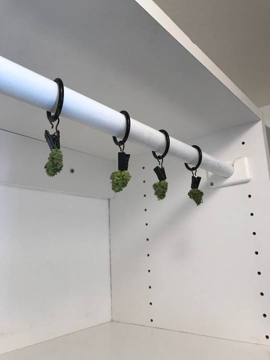 My first grow has gone wrong at every turn, but I’ve loved the whole thing. Story in comments