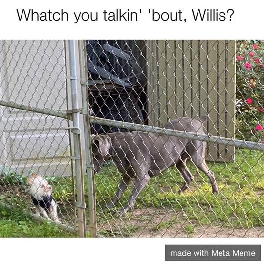 My first meme...branching out during covid forced vacation.