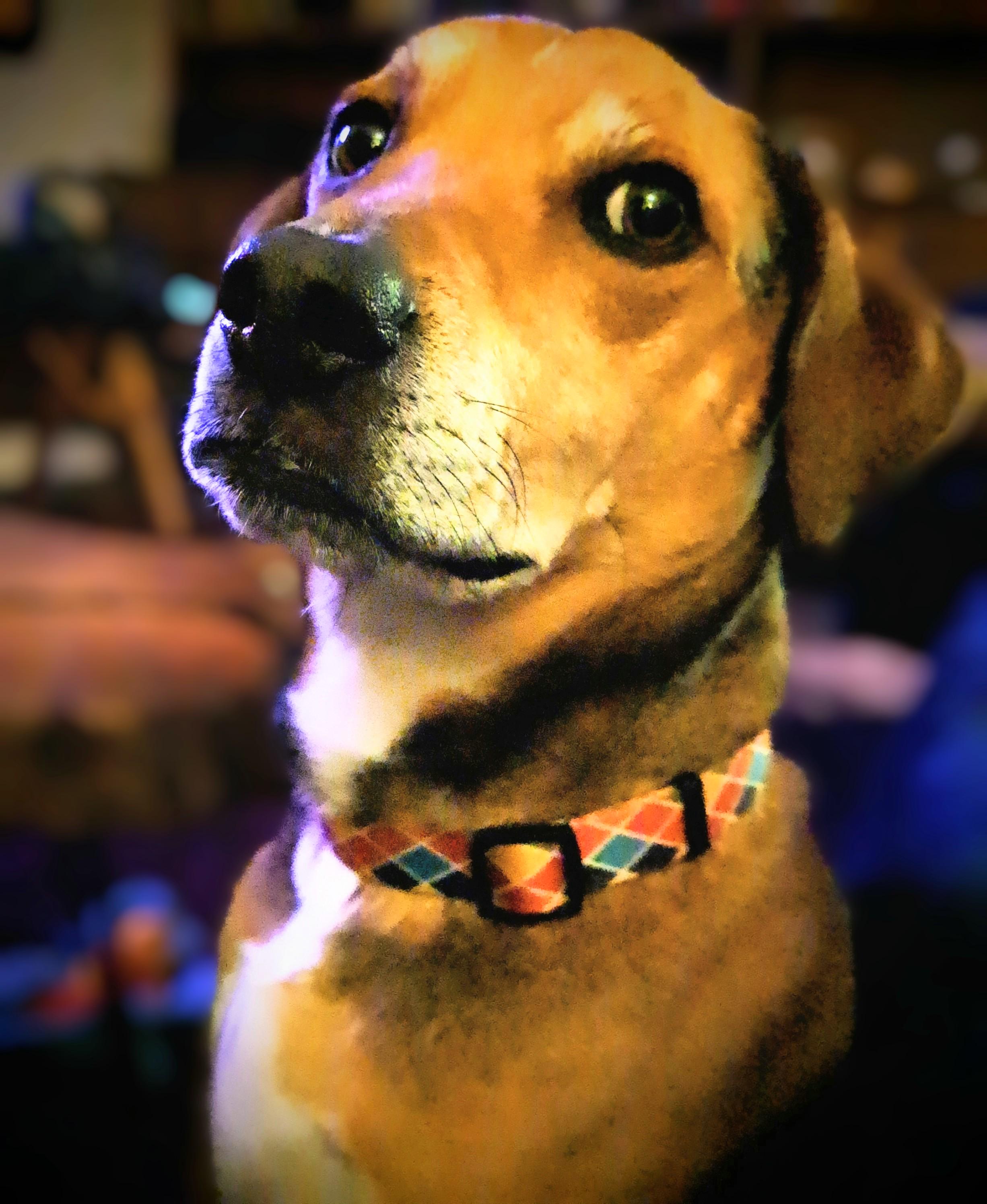 My handsome boyeee!!!