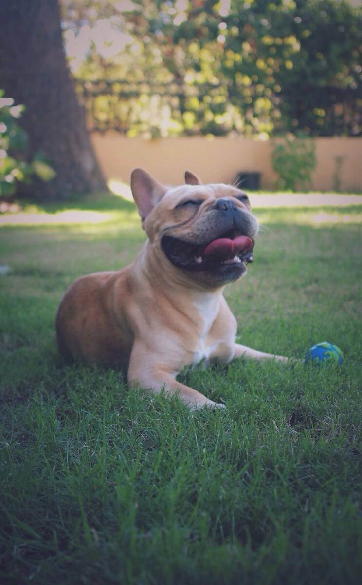 My happy little guy