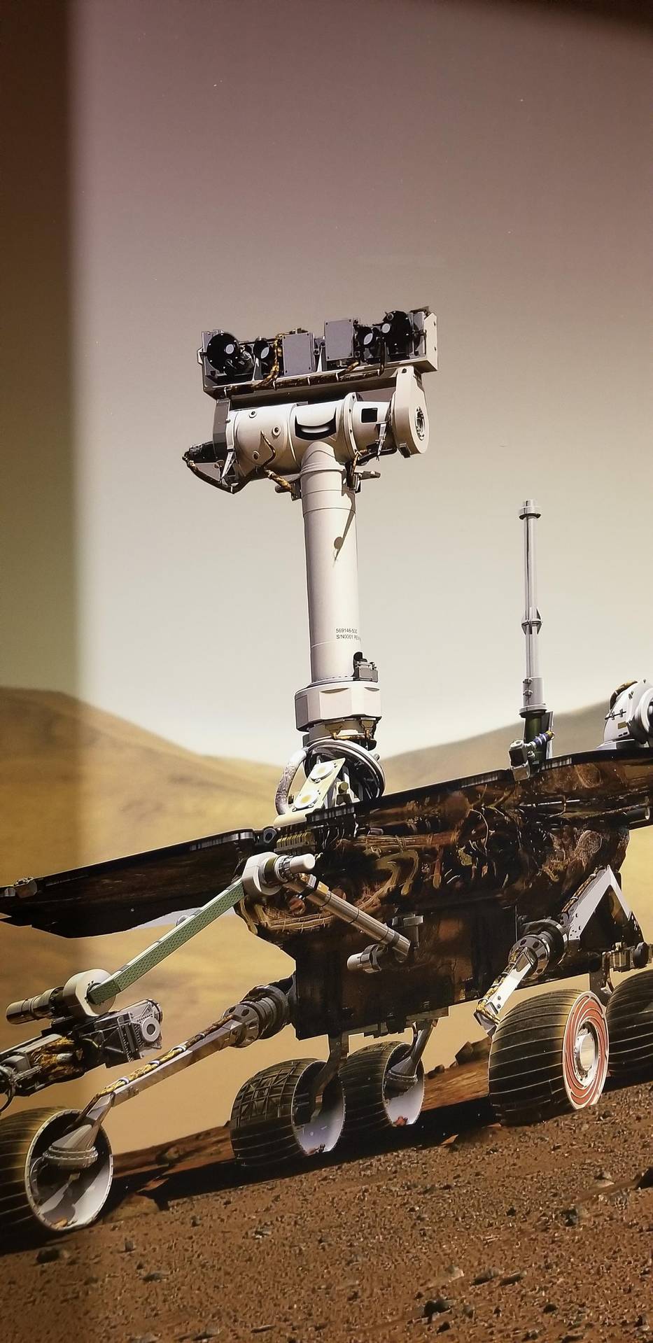 My hotel put a smiley face on Oppy